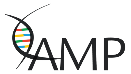 AMP logo